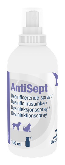 AntiSept - Flaska 100 ml