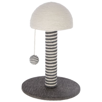 Klös svampen Funghi