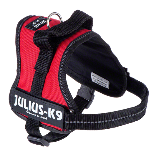 JULIUS-K9® Powersele - röd - Stl. Mini: 51 - 67 cm bröstomfång