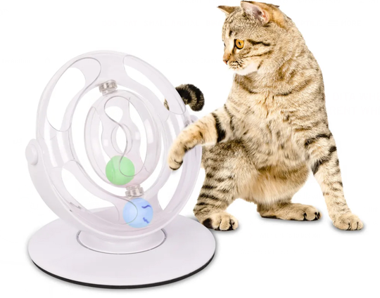 Kattleksak Dita Intelligence Toy