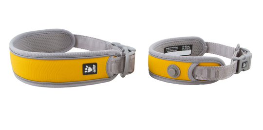 Hurtta Adventure hundhalsband (Forell) (55-65 cm)