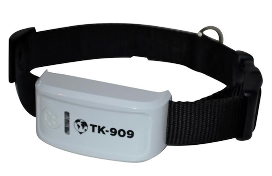 GPS för katt och hund