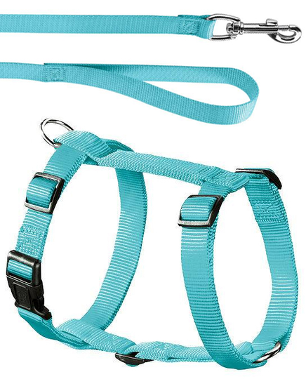 Sele med koppel - turkos nylon