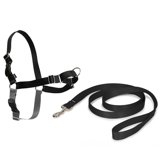 PetSafe Easy Walk Harness hundsele - Stl. M: bröstomfång 51 - 71 cm