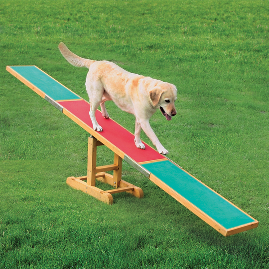 Trixie Agility gungbräda - L 300 x B 34 x H 54 cm