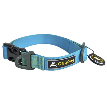OllyDog Flagstaff Hundhalsband- Sky Bark (M)