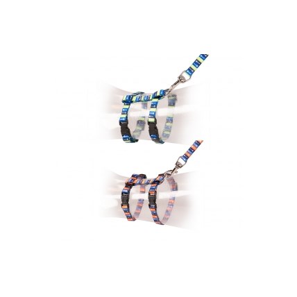 Kattungesele Set Fish Bones, Orange