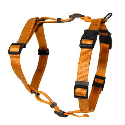 Kattsele H-modell Orange xs