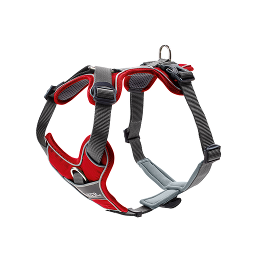 HUNTER Divo sele, röd/grå - Stl. L-XL: 79-107 cm bröstomfång