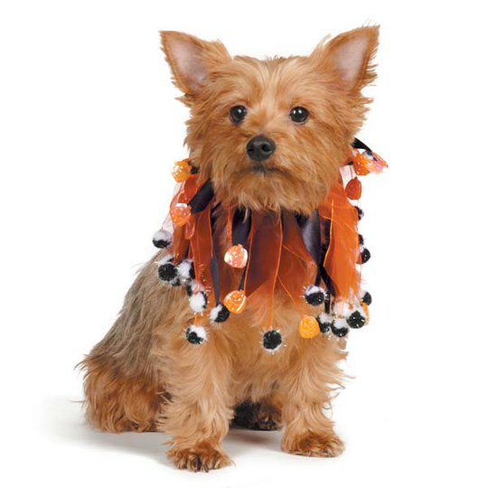 Aria PomPom Halloween-Pumpa scrunchies (L)