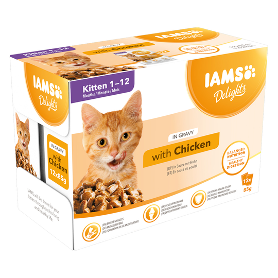 Ekonomipack: IAMS Delights i sås eller gelé 48 x 85 g - Kitten Kyckling i sås