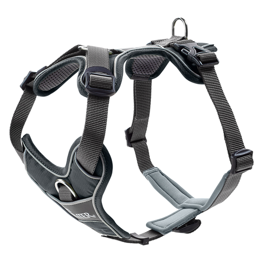 HUNTER Divo sele, grå - Stl. L-XL: 79-107 cm bröstomfång