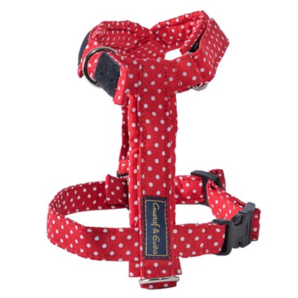 Kattsele Gustaf och Evita Strap Röd prickig, 2