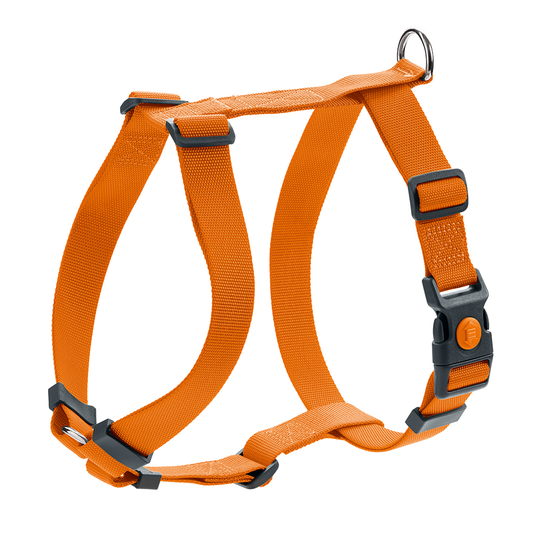 HUNTER London Vario Rapid, orange hundsele - Stl. S: 41-70 cm magomfång
