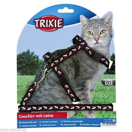 Kattsele set med Katt Svart