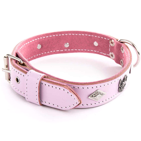 Martin Sellier Bulldog Diamant Läderhalsband med Nitar - Rosa (50 cm)