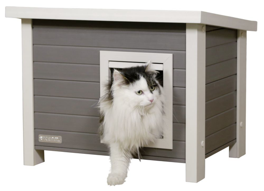 ECO Katthus Eli