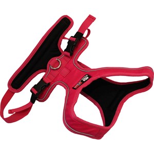 Hundsele Breeder's Spårsele, Rosa