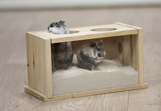Sandbad för Hamster & Mus - Sandbad