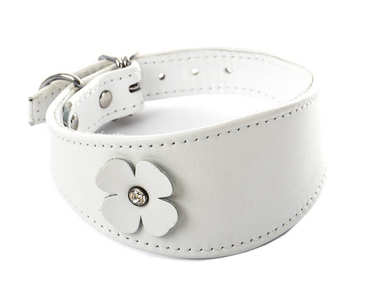 Martin Sellier Fyrklöver Whippet Läderhalsband - Vit (44 cm)