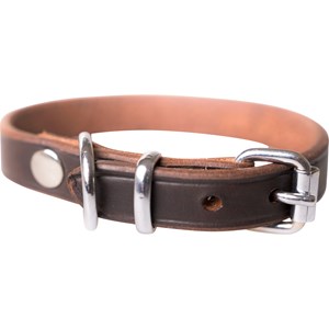 Hundhalsband Breeder's Läder, Brun - BRUN, 55CM