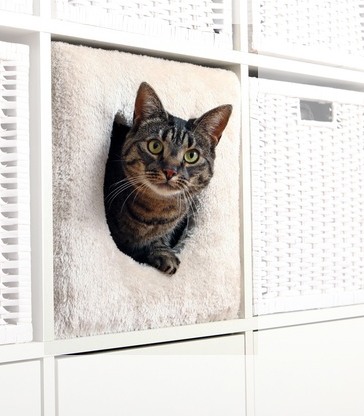Cat cave