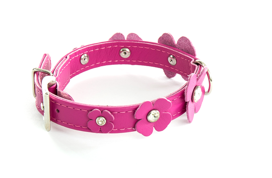 Martin Sellier Fyrklöver Läderhalsband- Fuchsia (35 cm x 2 cm)