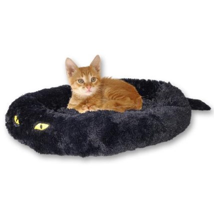 kattbädd 'Cat in black'