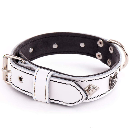 Martin Sellier Bulldog Diamant Läderhalsband med Nitar - Vit (50 cm)