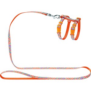 Kattsele med koppel Hunter Seventies, orange