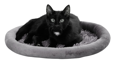 Kattsäng moppy grå