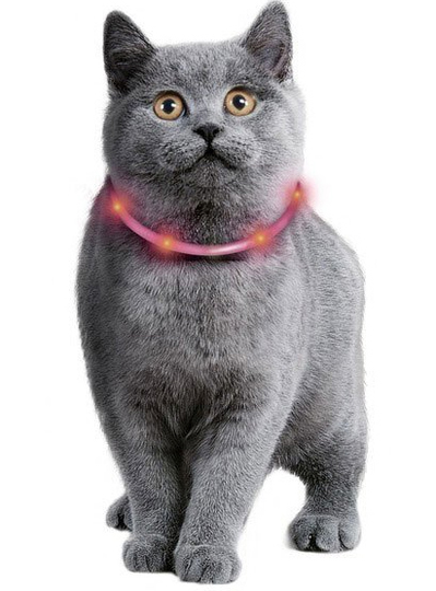 Katthalsband Visio light
