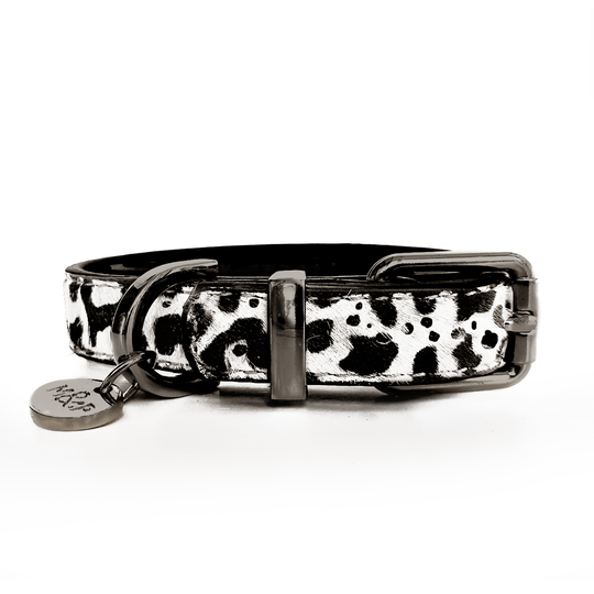 Milk & Pepper - Dalmatinermönstrat Hundhalsband - Flera storlekar (40 x 2 cm)