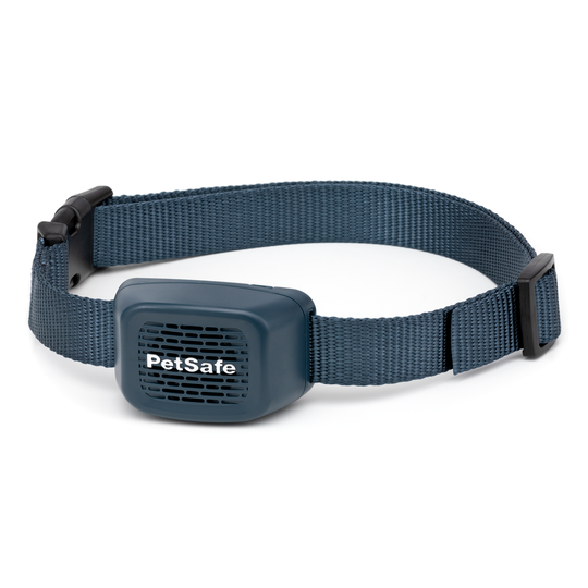 PetSafe Audible Bark Collar Antiskällhalsband