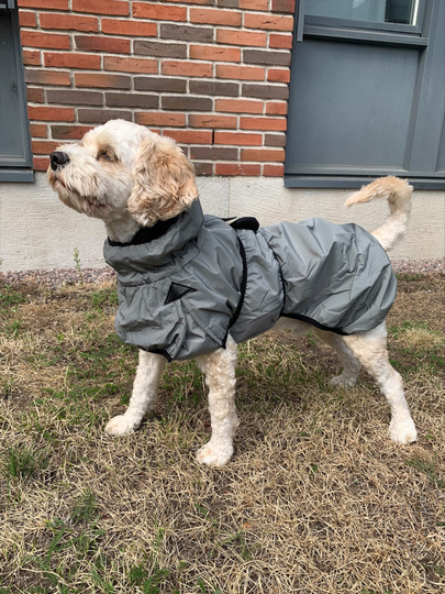 Record K-2 funktionsjacka för hund med fleecefodring - Sage Green (Grå) (80 cm)