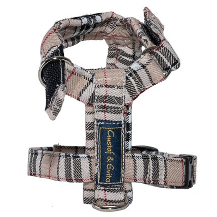 Kattsele Gustaf & Evita Strap Beige Ruta, 2