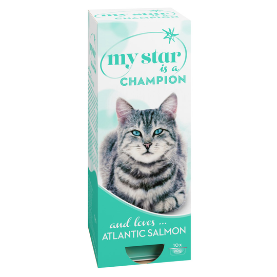 Stort ekonomipack: My Star kattmat 60 x 90 g - Champion med lax från Atlanten