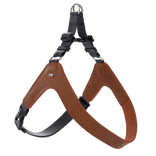 HUNTER Dimaro sele, cognac - Stl. L: 70-91 cm bröstomfång