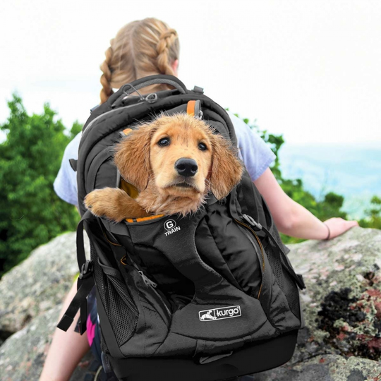 Kurgo G-Train K9 Pack Ryggsäck (Svart)