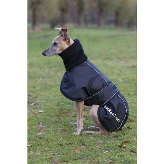Back on Track Whippet Hundtäcke (X-Small 30 cm)