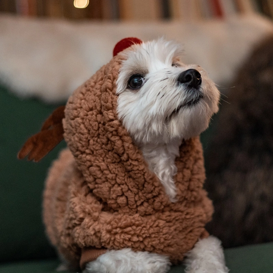 Little&Bigger Xmas Ren Hoodie Brun (20 cm)