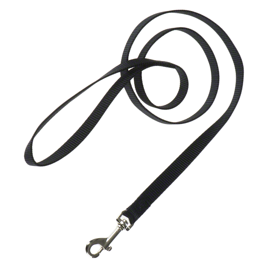 HUNTER Ecco Sport halsband + koppel, svart - Halsband storlek M + koppel 110 cm/15 mm