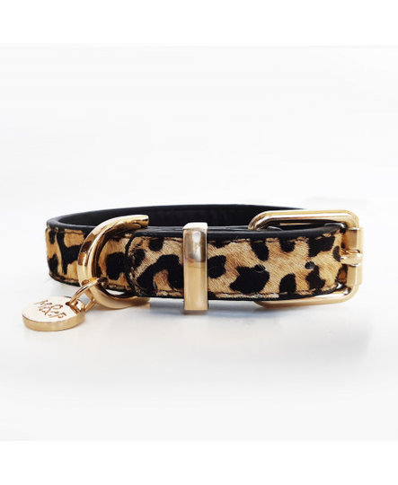 Milk & Pepper - Leopard Hundhalsband - Flera storlekar (30 x 1,5 cm)