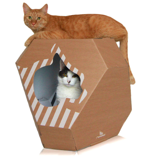 Mia modern cathouse