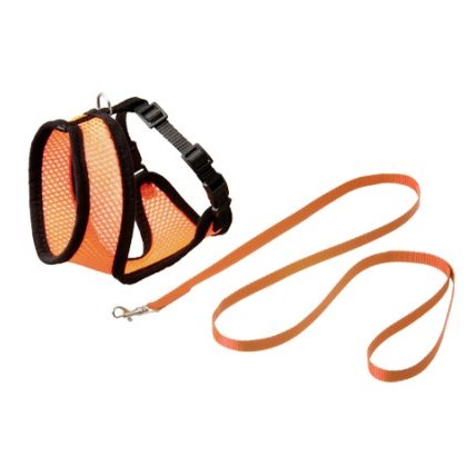 Kattsele mesh med koppel kattunge orange