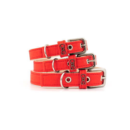 Funky Dog - Hundhalsband, Röd (XS)