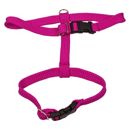 ALAC KATTSELE ROSA
