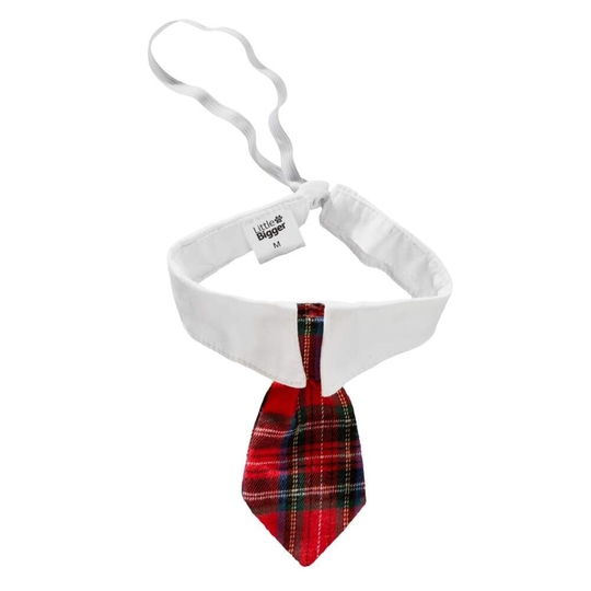 Little&Bigger Xmas Slips med Halsband (M)