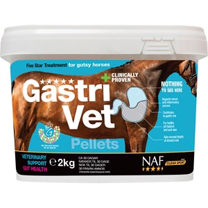 Fodertillskott NAF GastriVet 2 kg