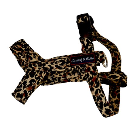 Kattsele Gustaf och Evita Leopard